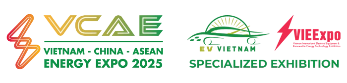 VCAE 2025